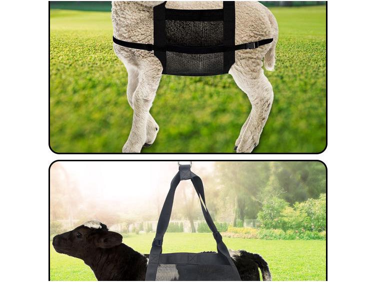 Adjustable Calf & Small Livestock Weighing Sling with Mesh Belt