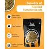 Roasted Pumpkin Seeds 500g by True Elements - Protein Snacks | Pumpkin Seeds for Eating | Immunity Booster Seeds | Fibre Rich Superfood