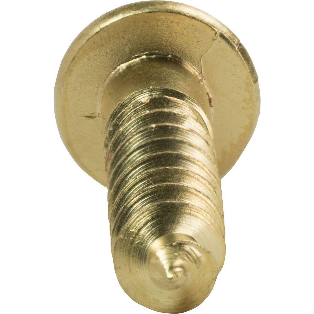 New Slotted Drive Self Drilling Tapping Minus Solid Brass Round Head Wood Screws