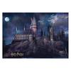 Tenyo Harry Potter 1000 Piece Jigsaw Puzzle Hogwarts Castle 51x73.5cm with Glue and Spatula Included