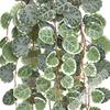 Artificial Hanging String Of Heart Plants Wall Mount Low Maintenance Eucalyptus Simulated Rattan Pendant Succulents Interior