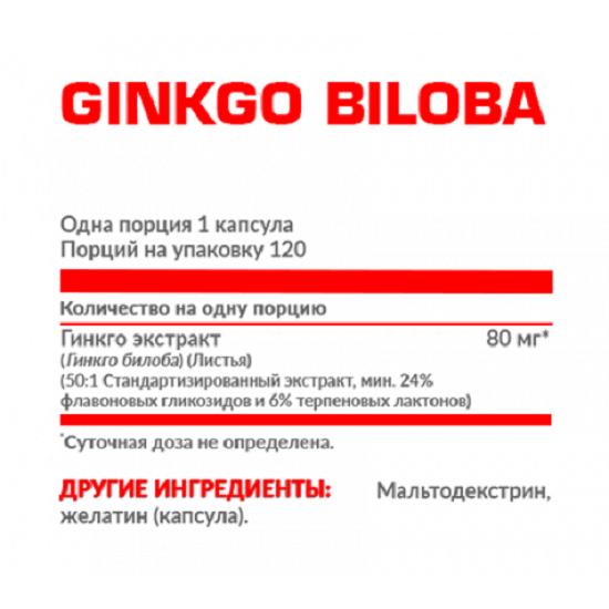 NOSOROG Гинкго Билоба 120 кап.