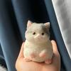 Cute Chubby Cat Orange Cat Siamese Cat Plush Soft Squishy Girl Child Birthday Gift Fidget Soft Toy Pet Ornament