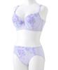 Внутренний высокий большой цветочный гламурный бюстгальтер и шорты [Nissen] женский комплект, сбоку, узор, комплект, фиолетовый, E90/3L