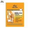 Back Pain Patch, 10 Cm X 14 Cm (2 Pcs/pack), Pain Relieving Patch, for Temporary Relief of Minor Aches of Muscles and Joints