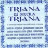 CD TRIANA ES MUCHA TRIANA - Triana Es Mucha Triana Испания Музыка Другое Б/У