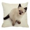 Thailand Cat Theme Pattern Double-Sided Printed Pillow Cover Short Plush Suitable Living Rooms Bedrooms Sofa Throw Cushion Cover