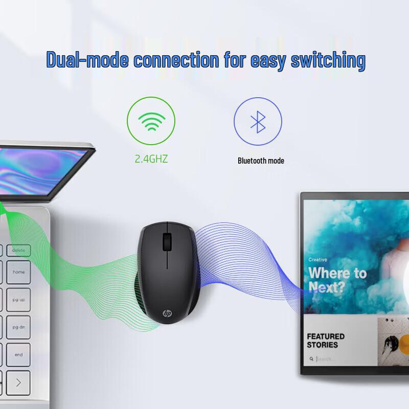 HP Zhan 66 Wireless Ergonomic Mouse
