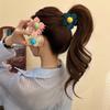 Hairpin Flower Hair Claw Plastic Plastic Shark Clip Creative Hair Crab Clip  Vacation