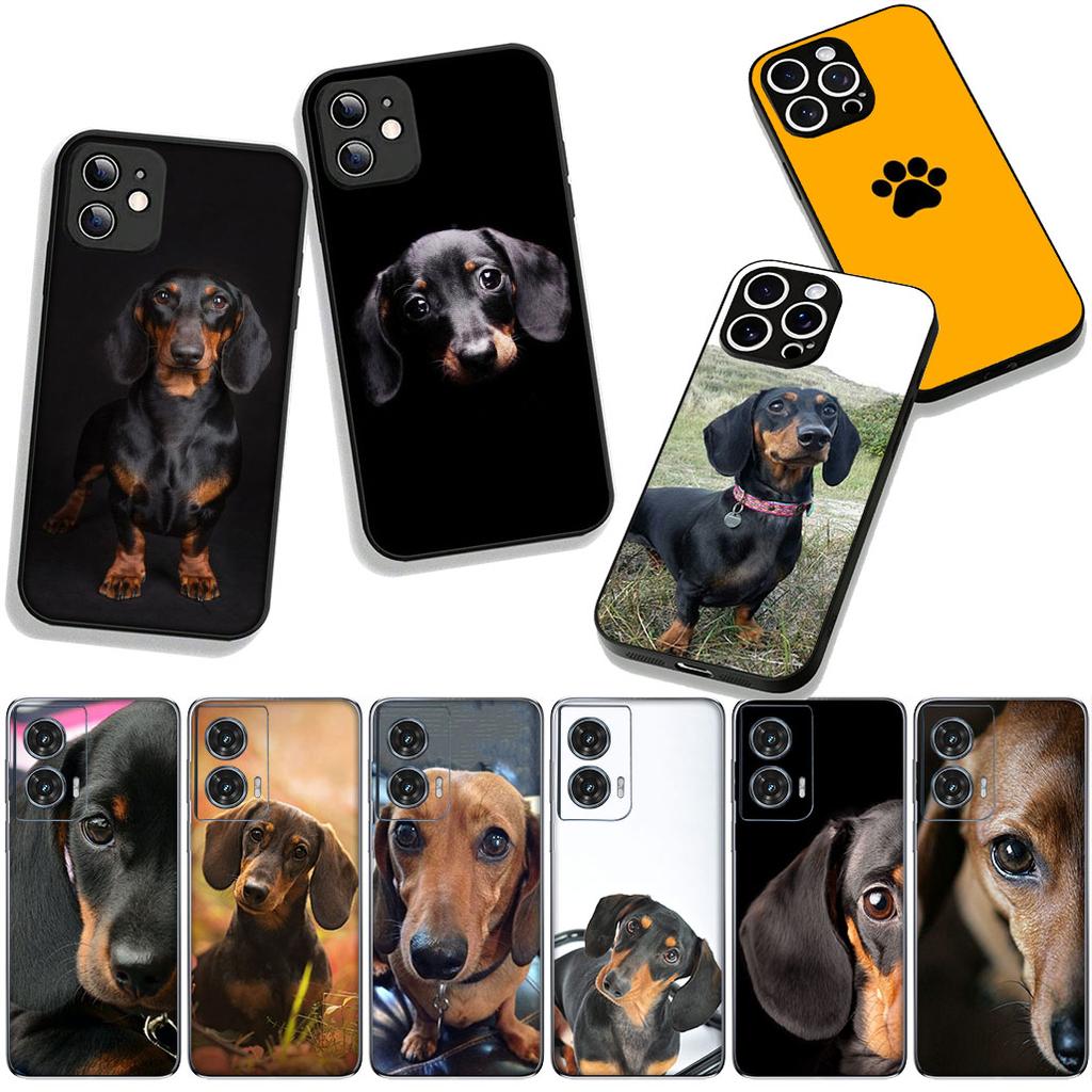 Cover Pet Dog Cute Dachshund for Samsung Galaxy A25 A37 A57 A12 A14 A31 A41 A50 A51 A70 A71 A72 A21S A04 M15 Note 20 9 8 10 Case