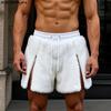 Men Drawstring Elastic Waist Zip-up Hem Furry Mini Shorts Pants