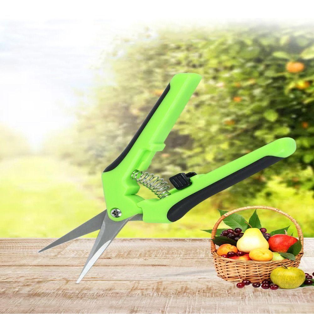Picking Weed Bonsai Tool Garden Scissors Pruning Tools Floral Scissors Garden Pruning Shears