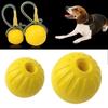 Pet Products Indestructible Rubber Ball Pet Toys Fetch Bite Toy Chew Play Fetch Dog Training Ball