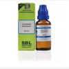 SBL Caladium Seguinum Dilution 30 ML Бесплатная доставка