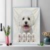 Chihuahua Poodle Dog 100% Round Full Drill 5D DIY Diamond Painting Embroidery Cross Stitch Rhinestone Décor