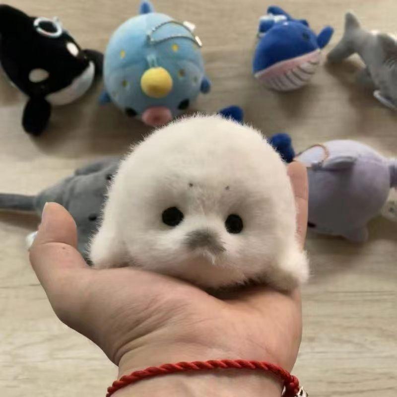 Cute Plush Baby Seal Pendant Keychain Realistic Ocean Animal Doll Ornament Creative Gift Decoration