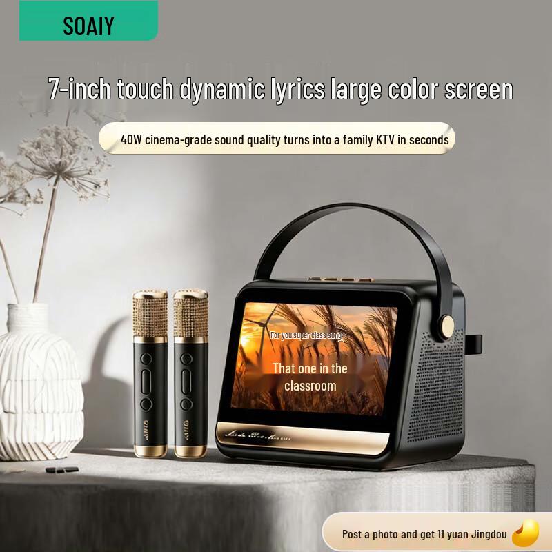 KTV Караоке Микрофон Динамик Soaiy GC520Pro