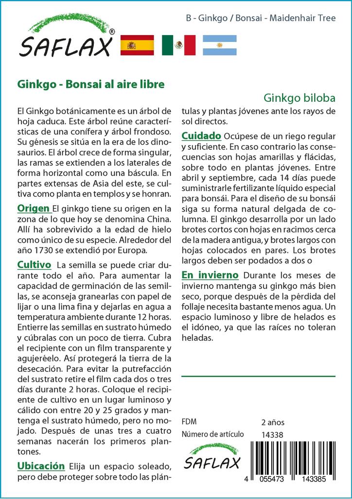 SAFLAX Garden in the Bag - Бонсай - Дерево девичьего волоса - 4 семени - С субстратом в подходящем пакете - Гинкго двулопастный