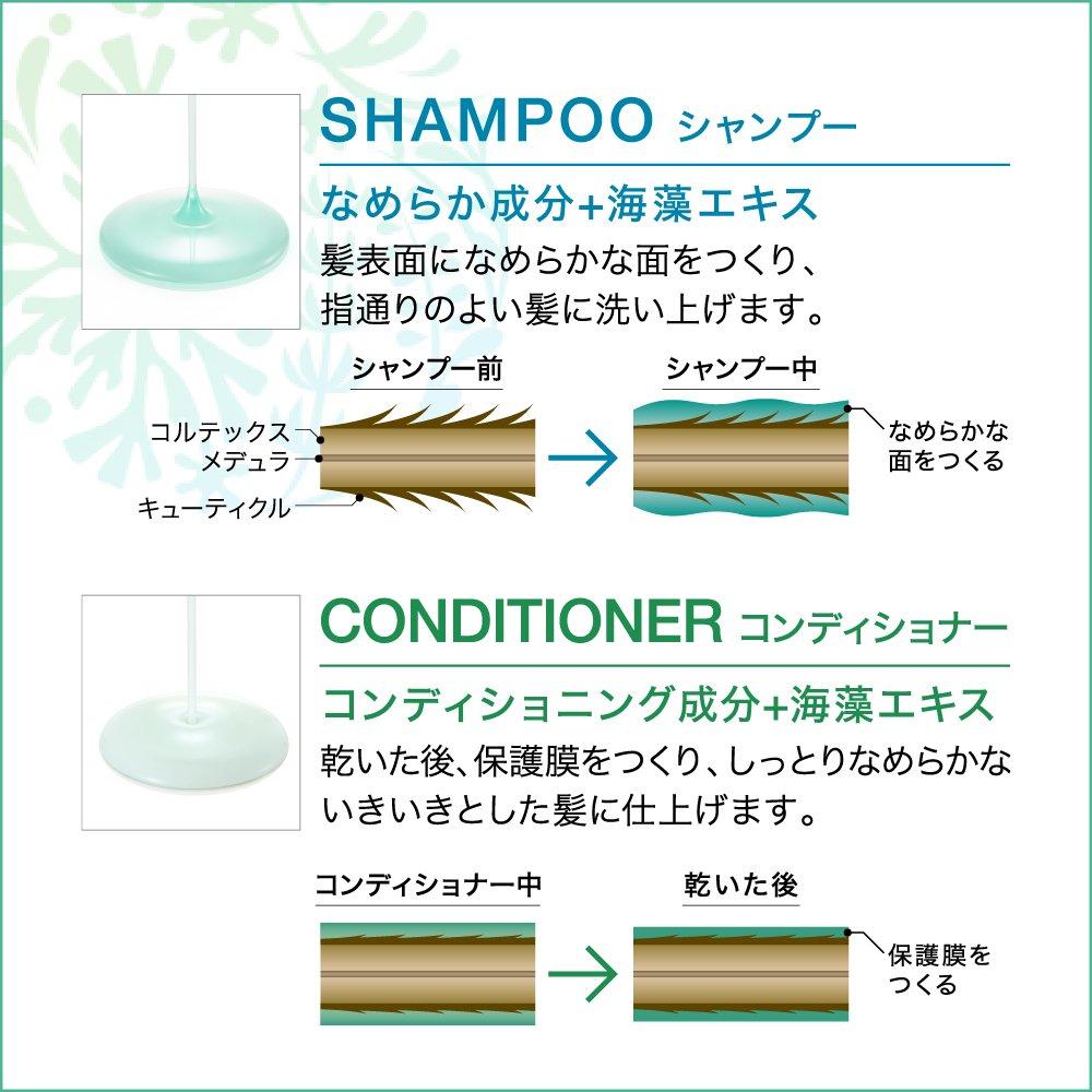 Kao Pro Series Шампунь для киев 10 л Тип Профессиональный Пакет-в-коробке (Серия Као)