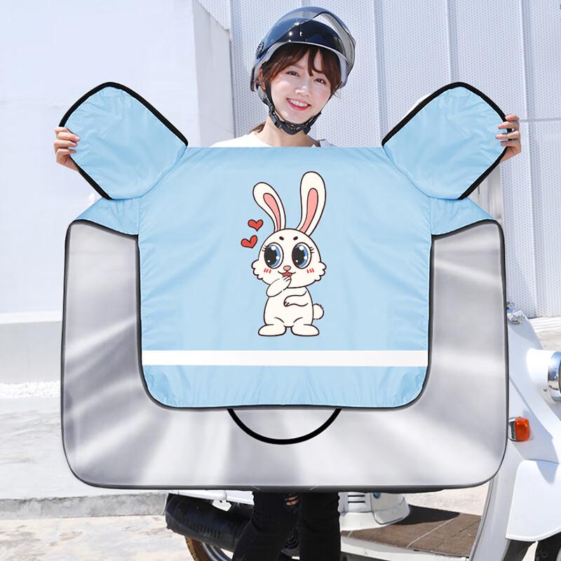 Ветрозащитный солнцезащитный чехол для электромобиля