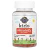 Garden of Life For Children, Vitamin D3, Orange, 20mcg (800IU), 60 Vegetable Gummies