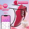 Wearable Panty Vibrator Strong Magnetic Clip App Remote Control Butterfly Clitoral Vibrating Adult Sex Toys
