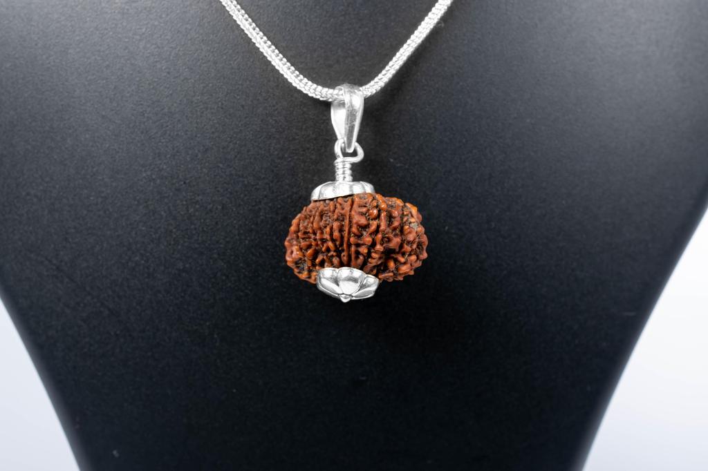 Натуральный 12-мукхи Рудракша 925 Серебряный Кулон – Непальское Происхождение | Бусина для Лидерства, Уверенности, Солнечной Чакры и Успеха | Органический и Сертифицированный Лабораторией