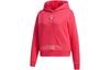 Neo Sweatshirts Women's Energy Powder Hooded Moderate Regular GQ1221