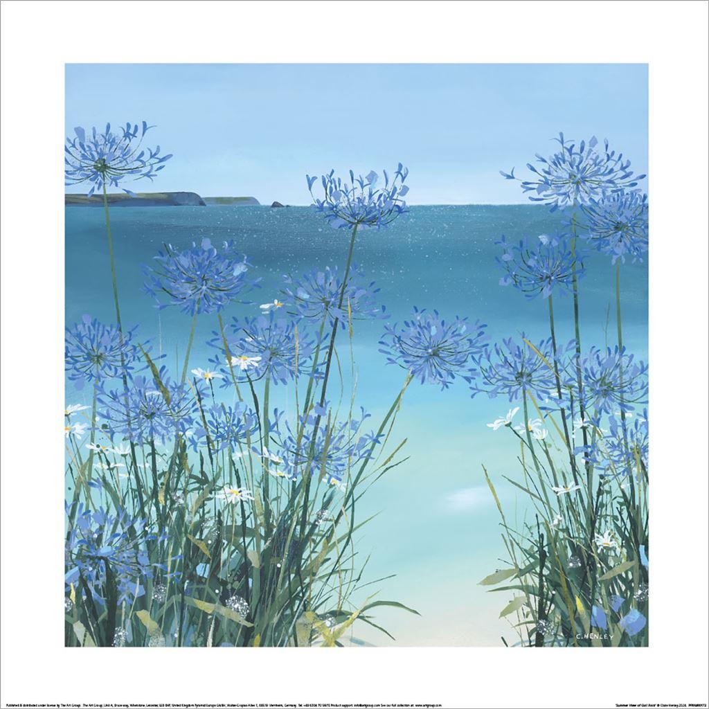 Claire Henley Summer View Of Gull Rock Print