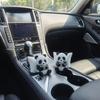Модель животного Скульптура панды Украшение Креативное настольное украшение для офиса Украшение для автомобиля Коллекционные фигурки Украшение для приборной панели автомобиля