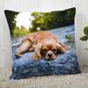 Pillowcase Cocker Spaniel  Modern Home Living Room Decoration