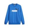 Puma 586762 Ess+ 2 Col Big Logo свитшот