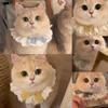 Kitten Cotton Lace Bib Saliva Pet Bow Cute Scarf Decorative Bib Dog Bib Accessories
