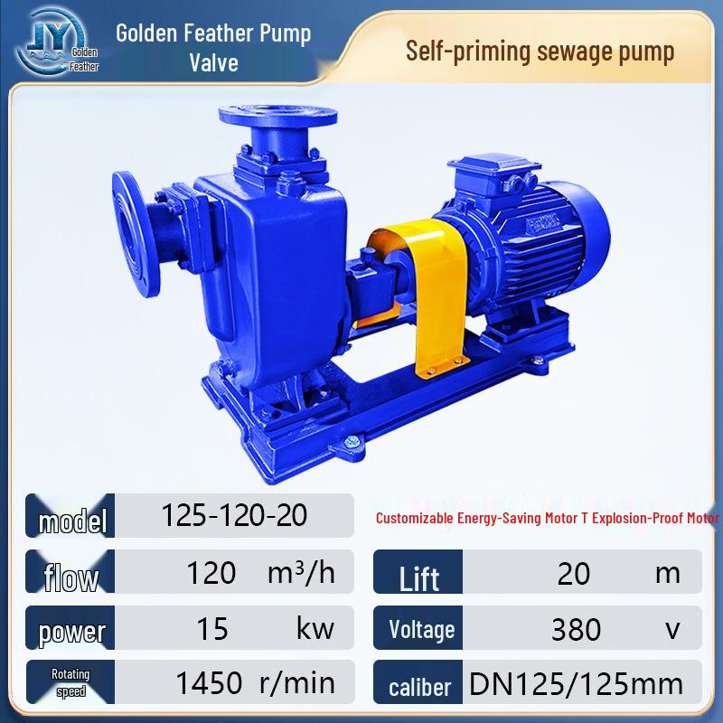 ZW Self-Priming Non-Clog Sewage Pump for Sewage Treatment & River Water Intake, 380V Horizontal Model