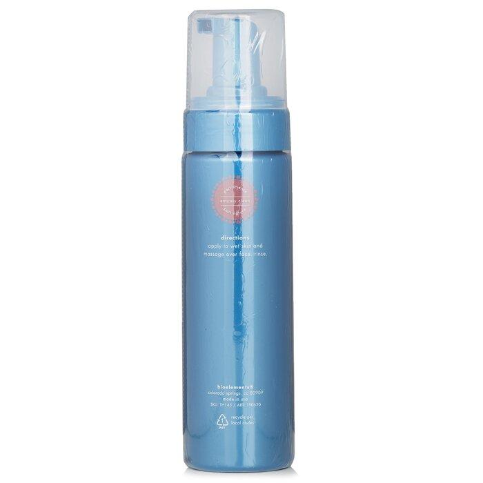 BIOELEMENTS Flash Foam Cleanser
