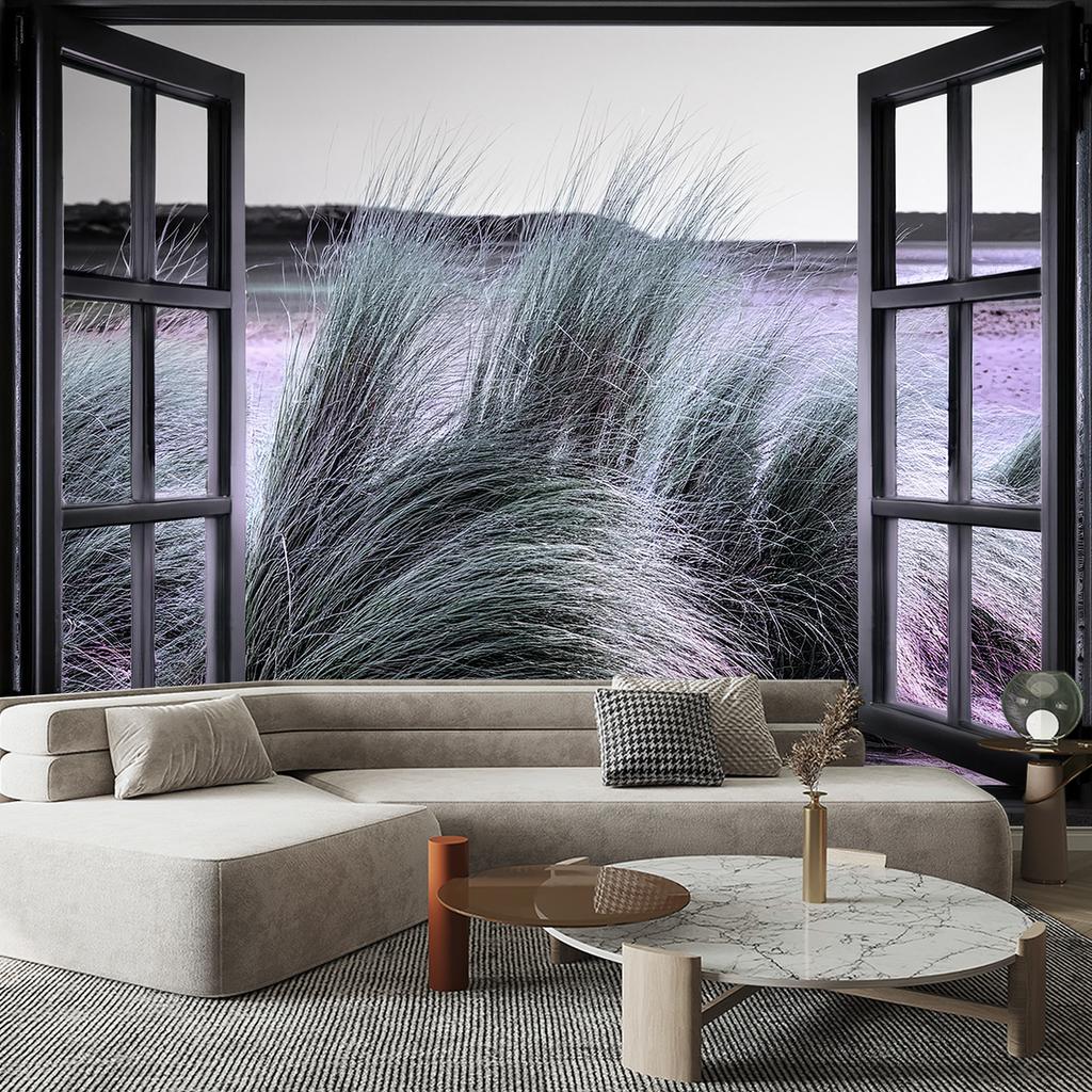 Wallpaper Window view Nature Botanical