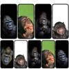 Cover for iPhone 16 15 Xiaomi Redmi Note 14 13 12 11 Pro Max X 8 9 16e Samsung Galaxy S25 S24 S23 Moto OPPO Huawei Gorilla Ape Monkey Baby Phone Case