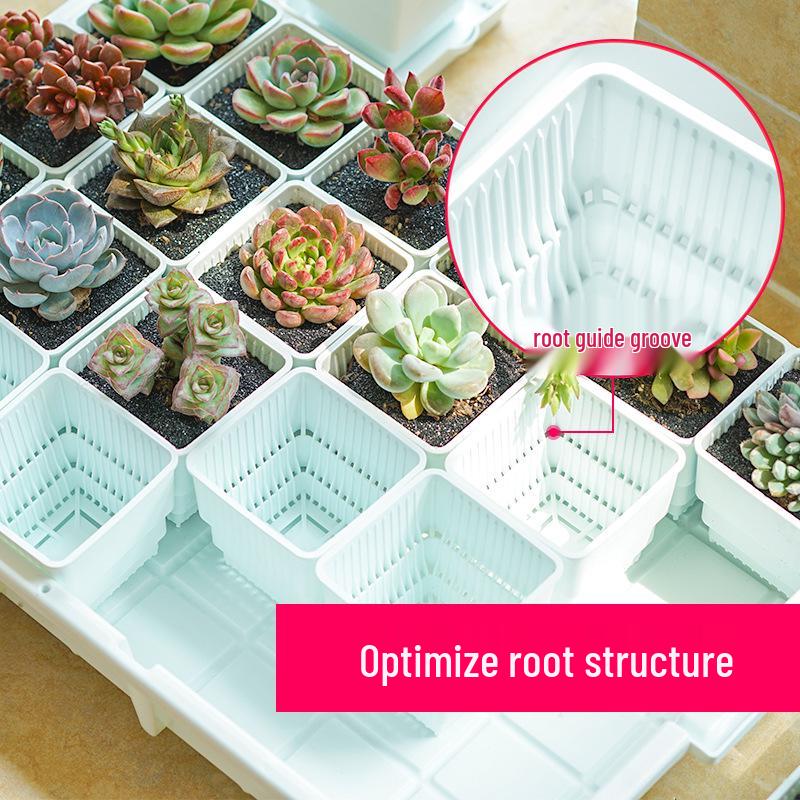Meishi Root Control Succulent Flower Pot Set with Tray - Creative Resin Seedling Planter