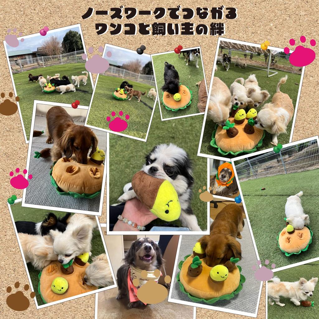 Mochico Собака Обучающий Нос Поиск Сокровищ в Спрятанном Сладком Картофеле Милая Собака Мягкая Жевательная Игрушка Снимает Отсутствие Стресса Обучение Обонянию (Мотико) Игрушка, Игрушка,