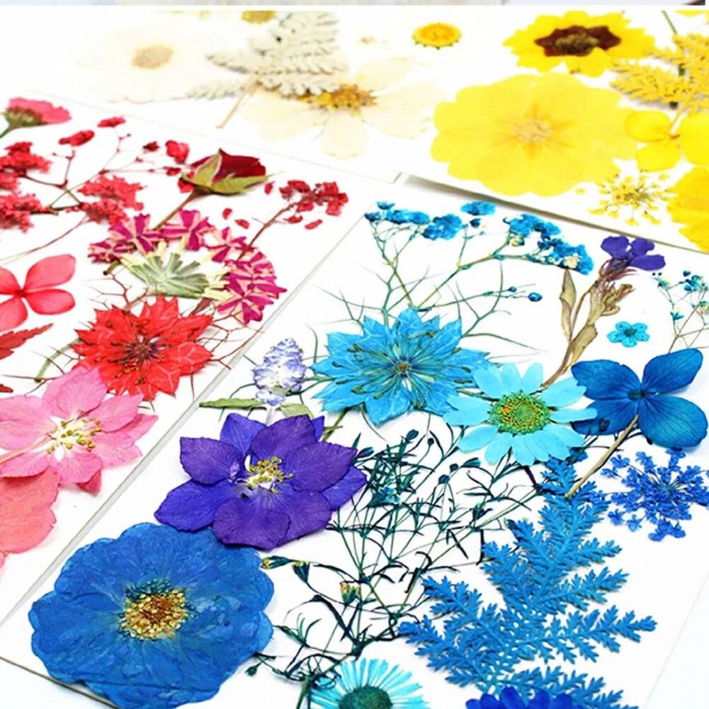 15pcs Dried Flower Natural Flower Stickers Dry Beauty Decal For DIY Plants Art Craft Floral Decors Making Accessories