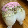 Dog Belly Dance Costume Corgi Dog Waist Chain Butt Curtain Clothes with