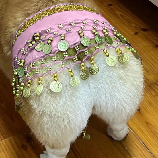 Dog Belly Dance Costume Corgi Dog Waist Chain Butt Curtain Clothes with
