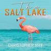 The Salt Lake by Christopher May Paperback Book 9781398413719