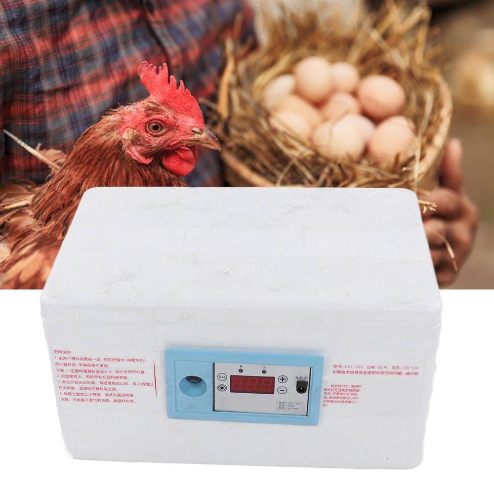 1 Set (7pcs) Small Chicken Incubator Foam Eggs Hatching Incubator Hatching Chicken