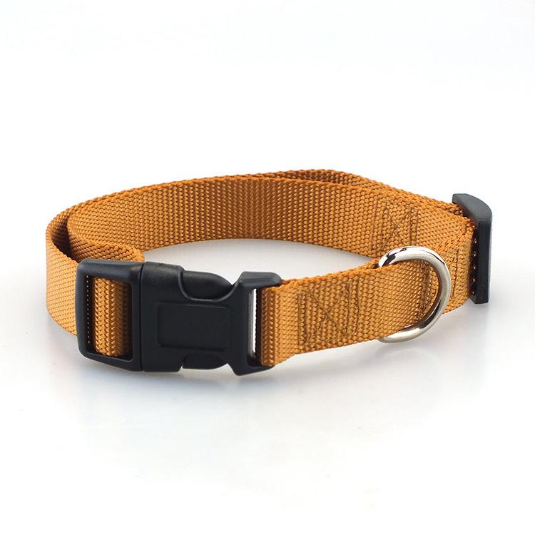 Solid Nylon Pets Dog Collars Multicolor Factory Direct Custom Simple Quality Personalized RIBBONS Printed Nylon Dog Lead 1-5days