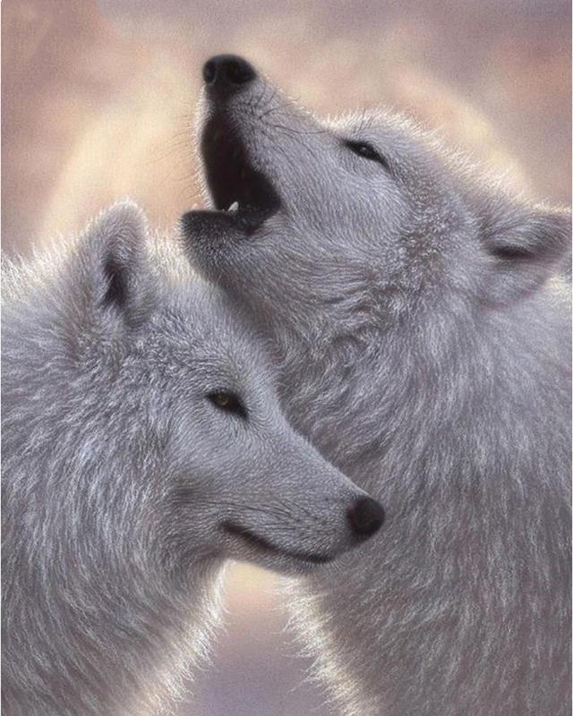 5D DIY Алмазная картина Волк Ремесло Полный квадрат Алмазная вышивка Животный пейзаж Вышивка крестом Горный домашний декор