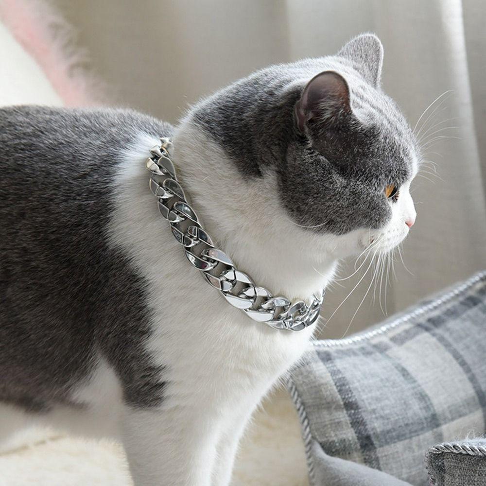 Cat Dog Gold Necklace Chain Dog Collar Adjustable Pitbull Collar Gold Collars for Small Medium Dog