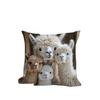 1 Piece Cute Alpaca Pattern Printed Cushion Cover Suitable for Decorating Living Room Sofa Pillow Cover Home Cushion Cover