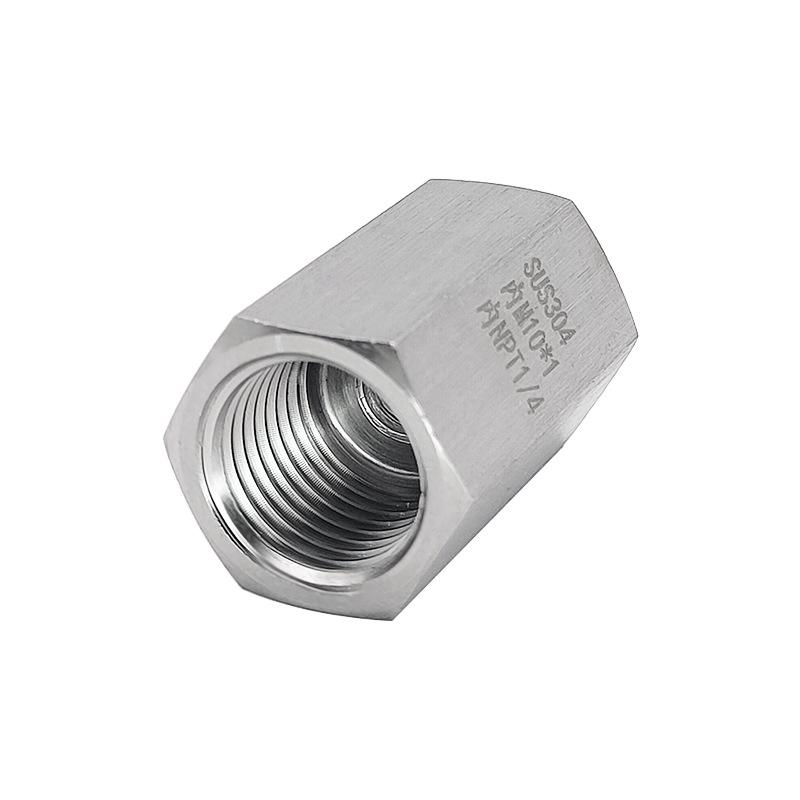 Stainless Steel 304 Metric-Inch Reducing Adapter, M10x1 to NPT 1/4 Female Thread