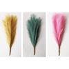 3 шт./пакет, привлекающая внимание искусственная пампасная трава, тонкая работа, искусственный шелк, цветок, не выцветает